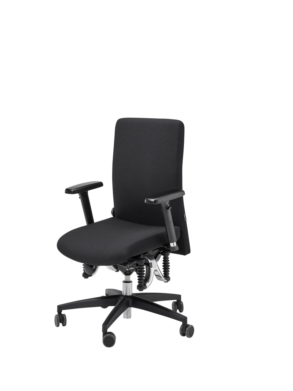 Bioswing 360 IQS Bestseller